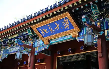 Peking University